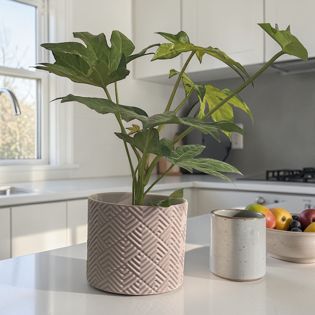 Gridform Grow Pot