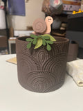 Ledge Legend - Barnaby the Snail