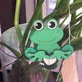 Ledge Legend - Flynn the Frog