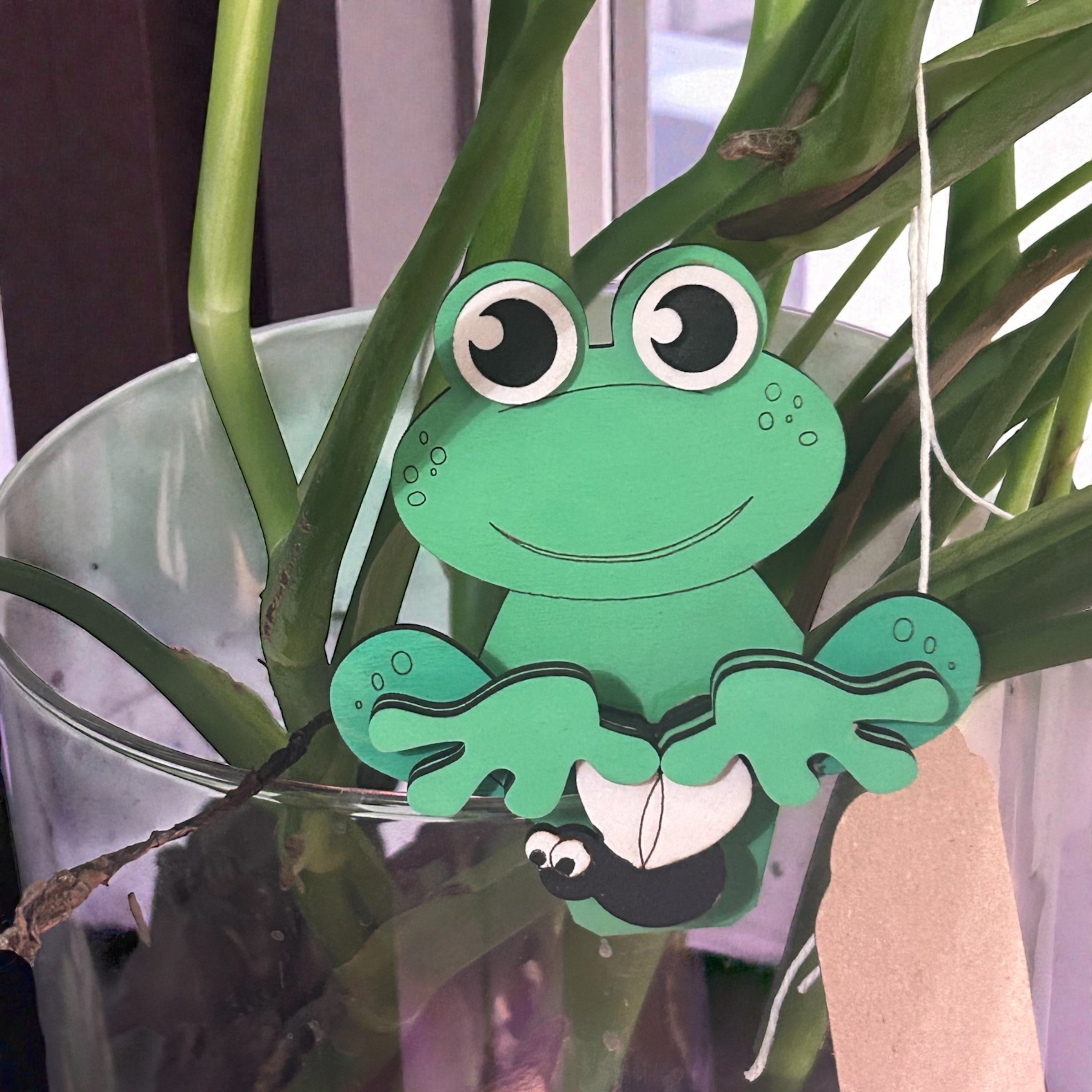 Ledge Legend - Flynn the Frog