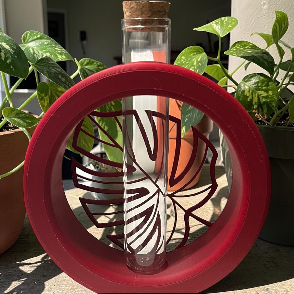 Monstera Leaf Plant Propagation Station