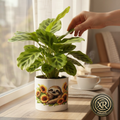 Sunflower Sloth Ceramic Cache Pot