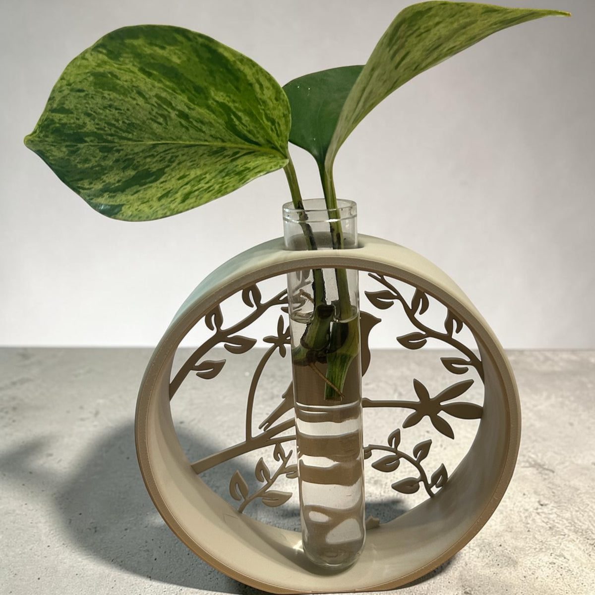 Perched Songbird Plant Propagation Station
