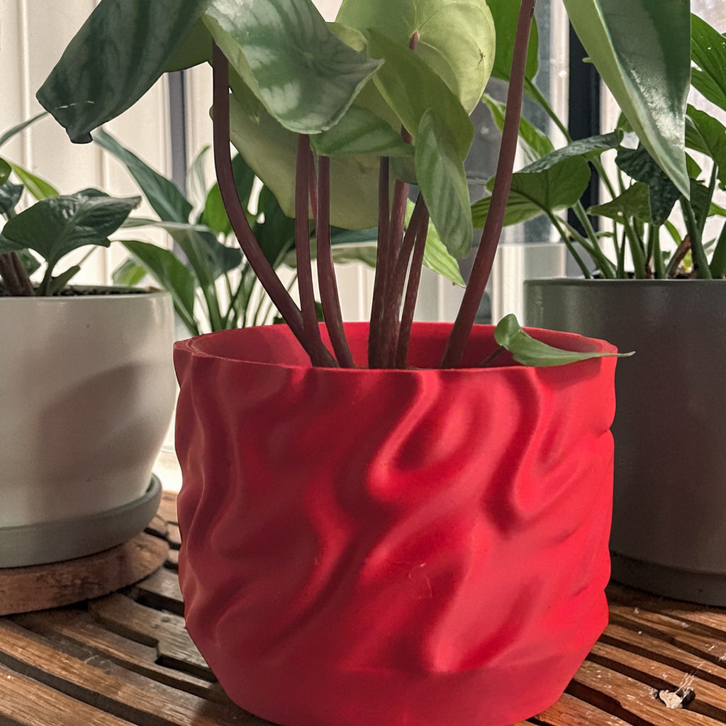 Windcurve Grow Pot