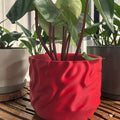 Windcurve Grow Pot