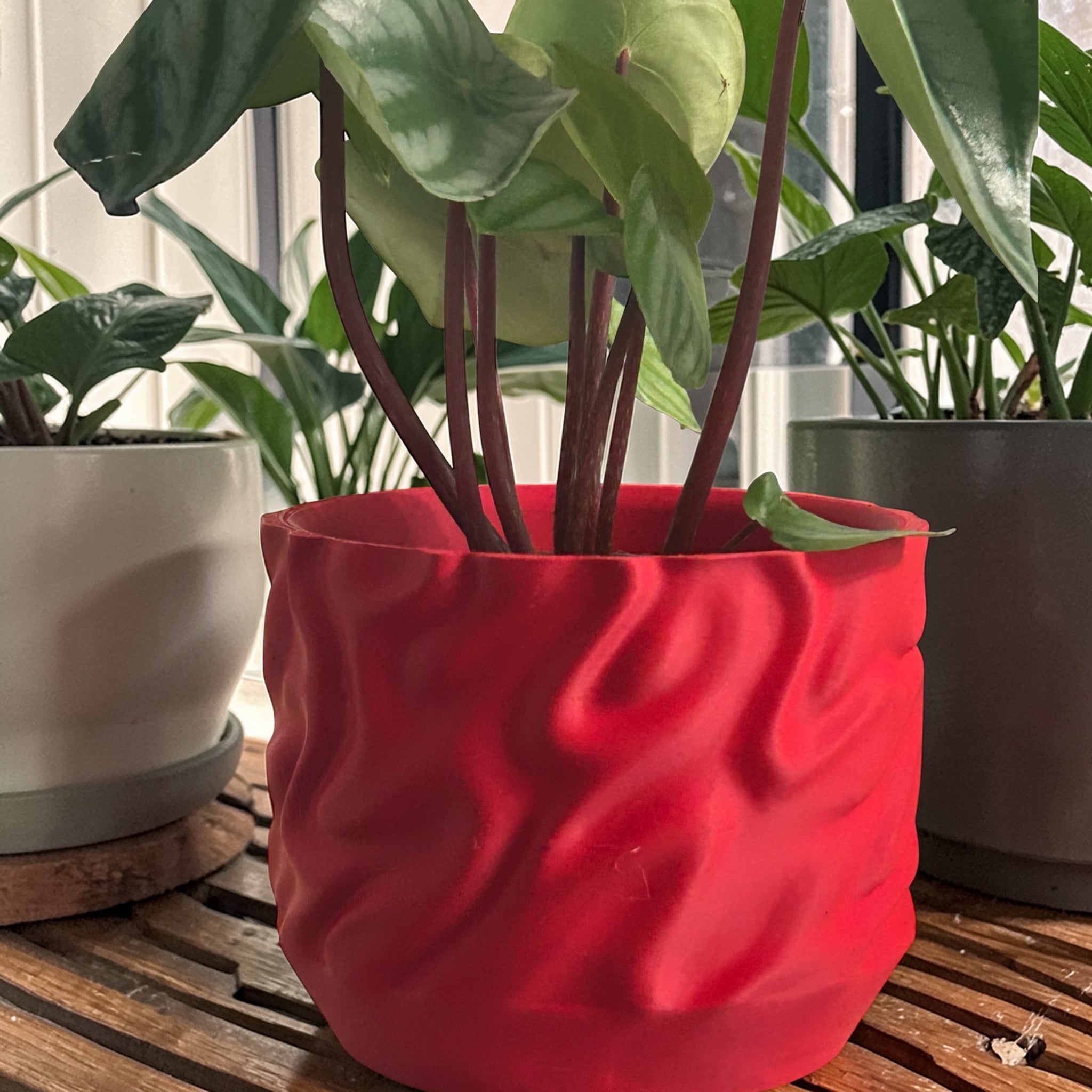 Windcurve Grow Pot