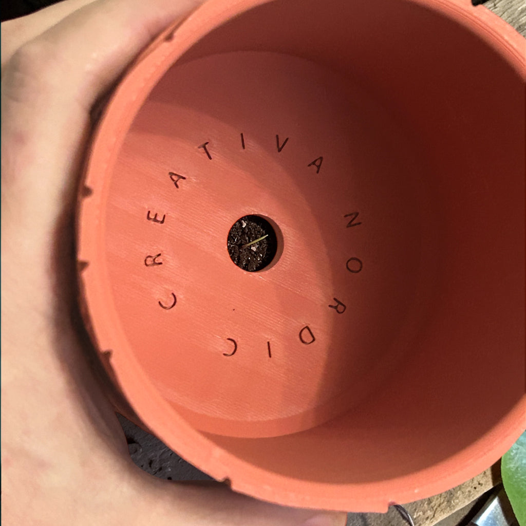 Gardenwall Grow Pot
