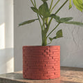 Gardenwall Grow Pot