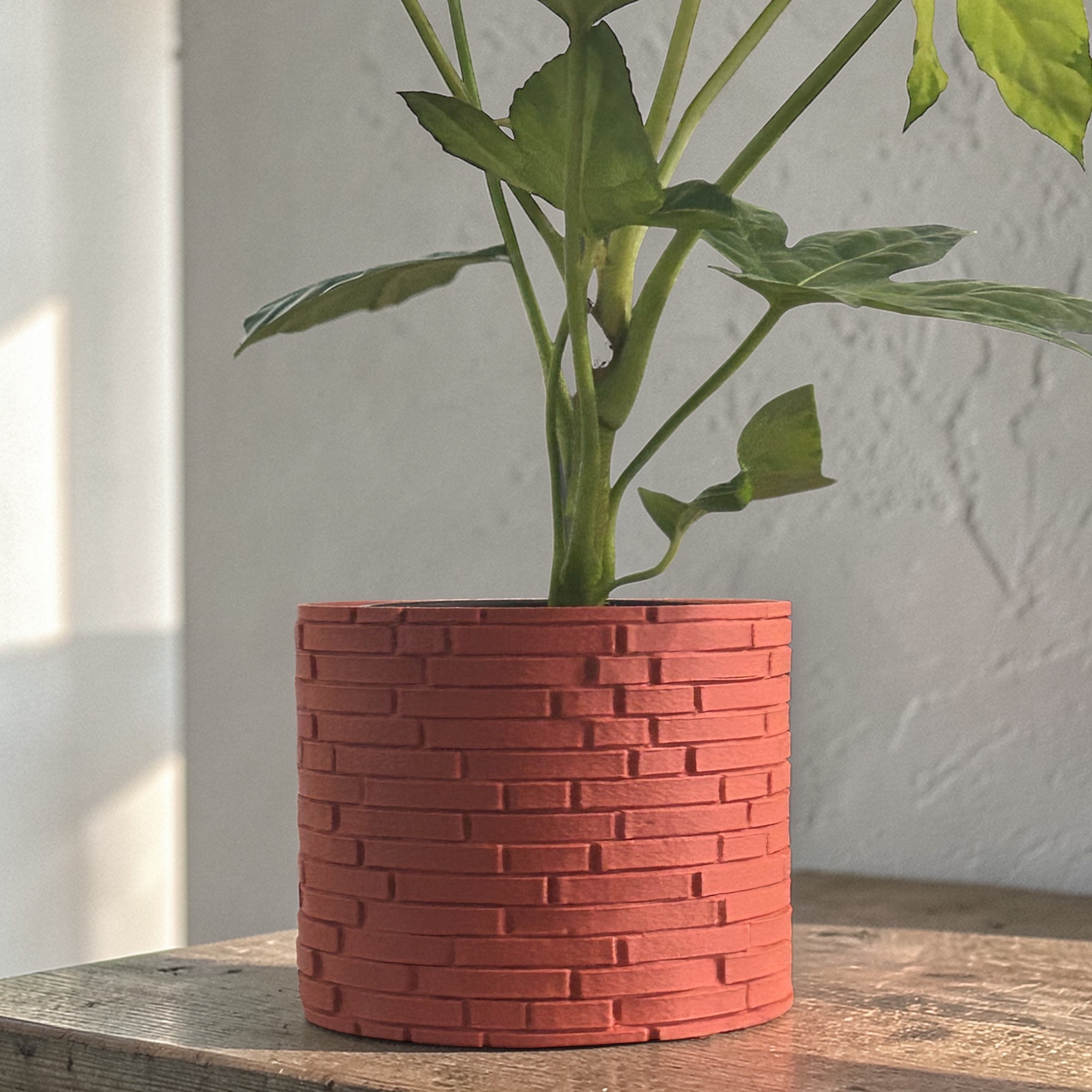 Gardenwall Grow Pot