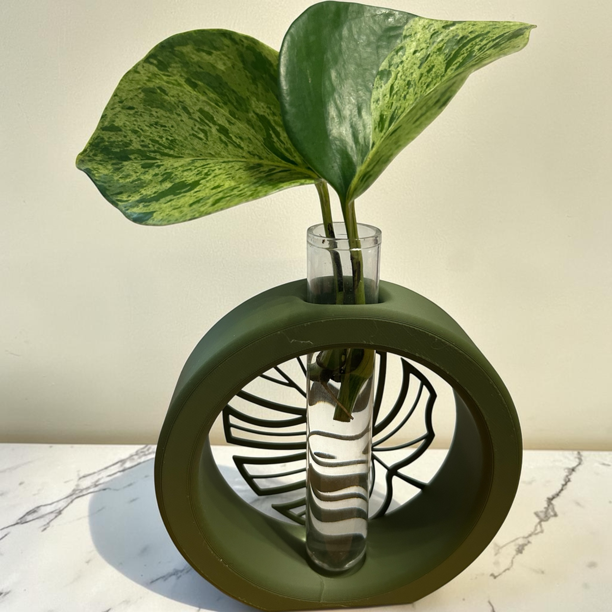 Monstera Leaf Plant Propagation Station