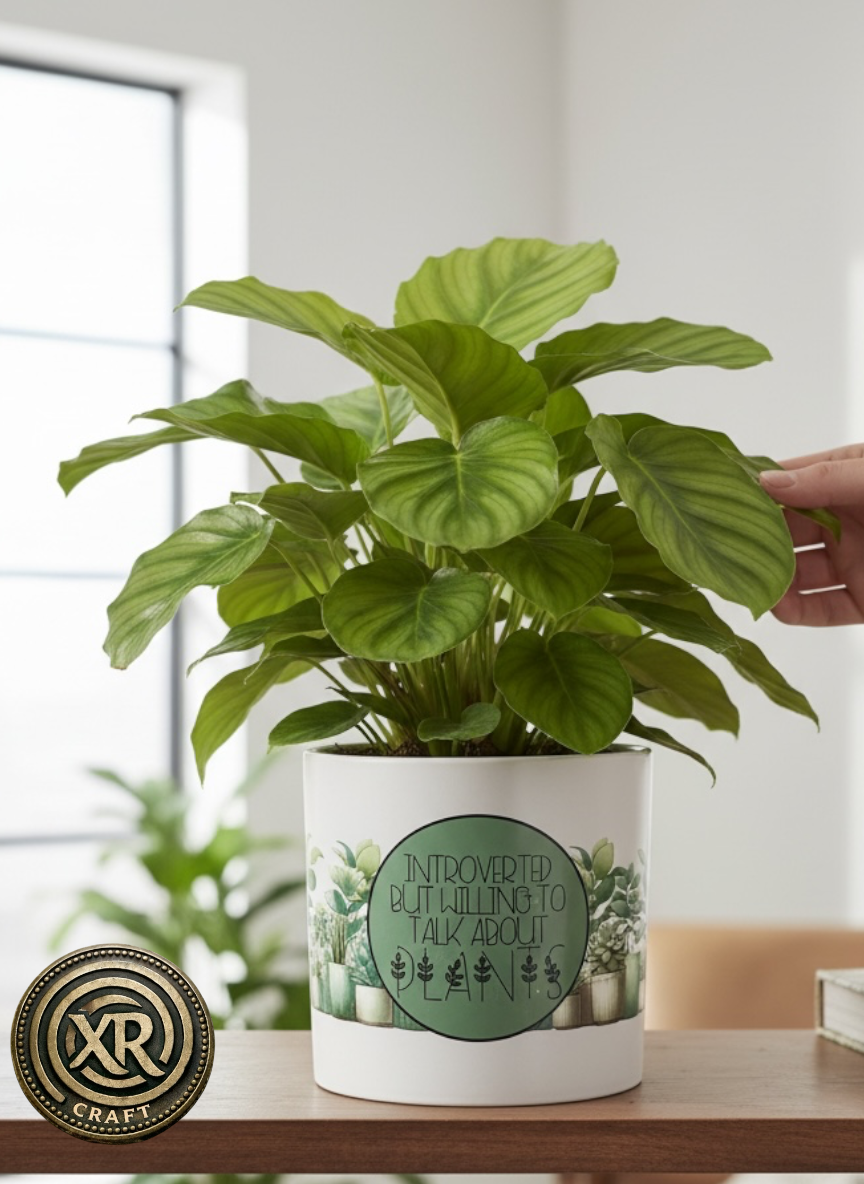 Introverted But Willing to Talk Plants Ceramic Cache Pot