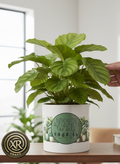 Introverted But Willing to Talk Plants Ceramic Cache Pot