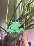 Ledge Legend - Fern the Frog