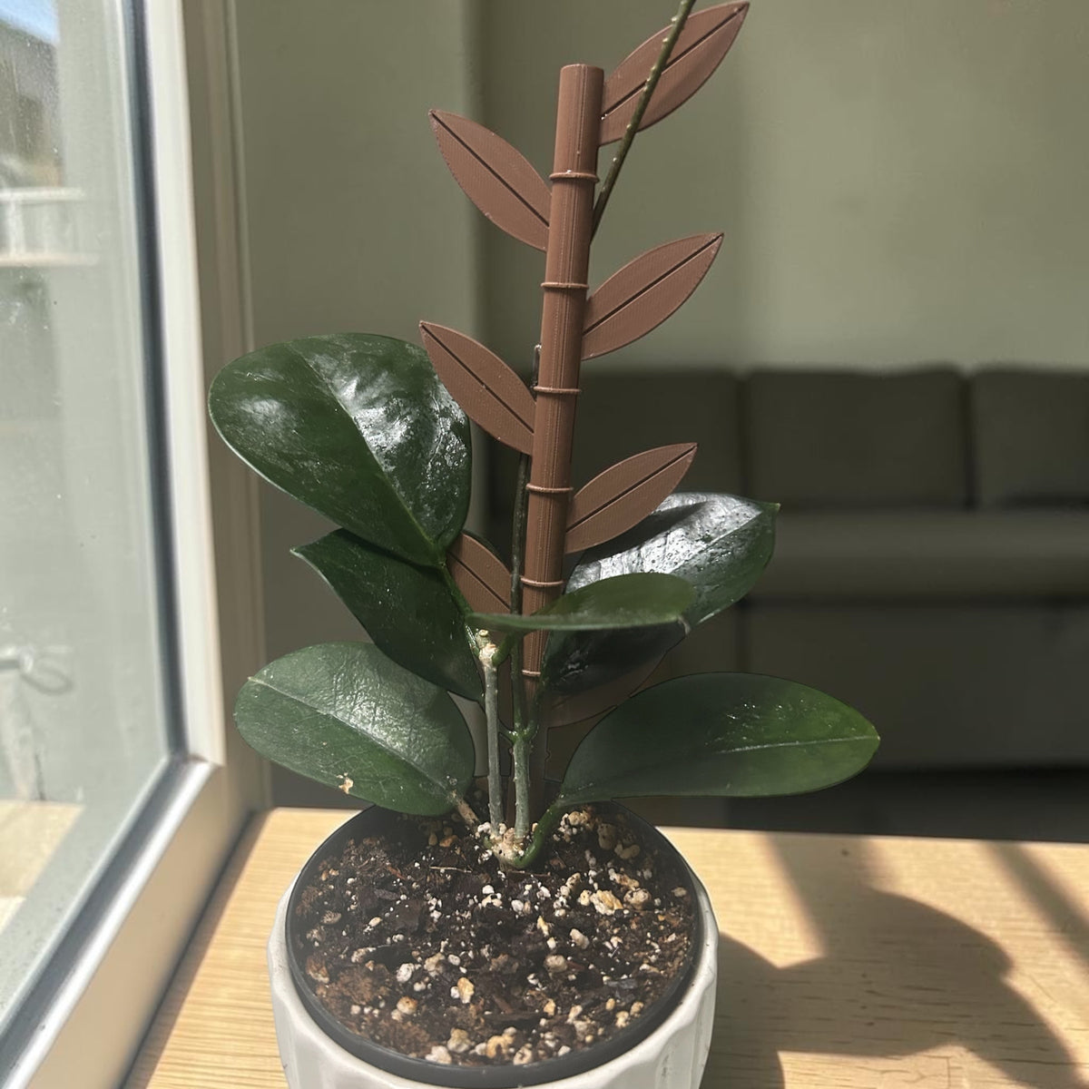 Bamboo Plant Support