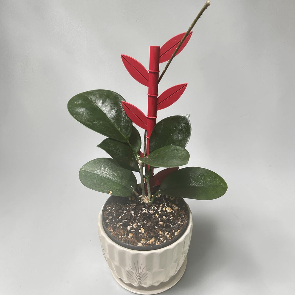 Bamboo Plant Support