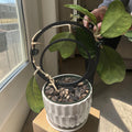 Two Rings Plant Trellis